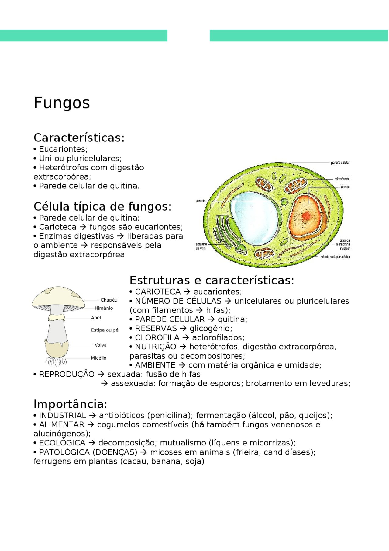 livro sobre fungos